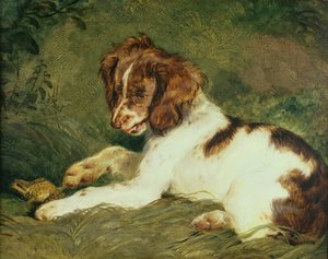 Un cucciolo che stuzzica una rana, 1824